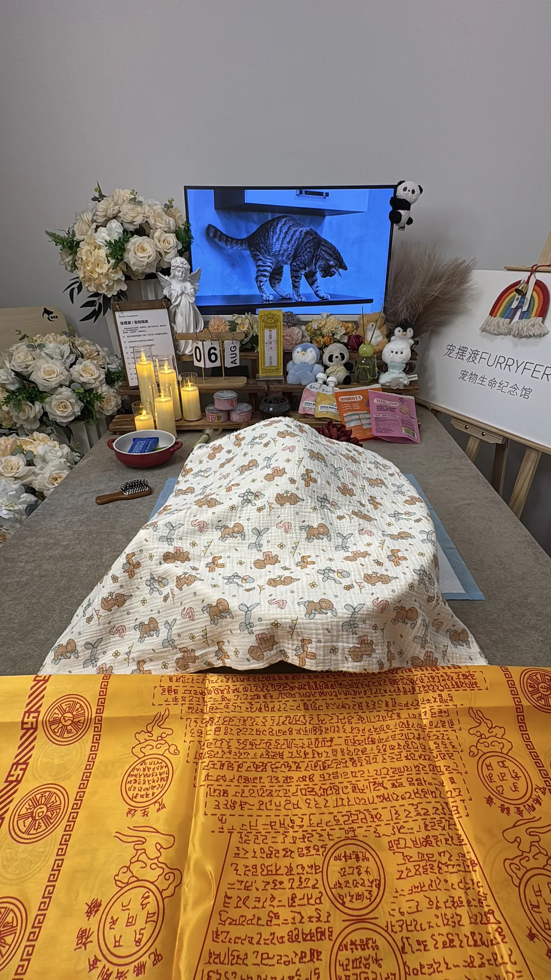 厦门宠物告别仪式中的鲜花与纪念照片